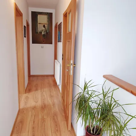 Villapark Vlasky Holiday home *